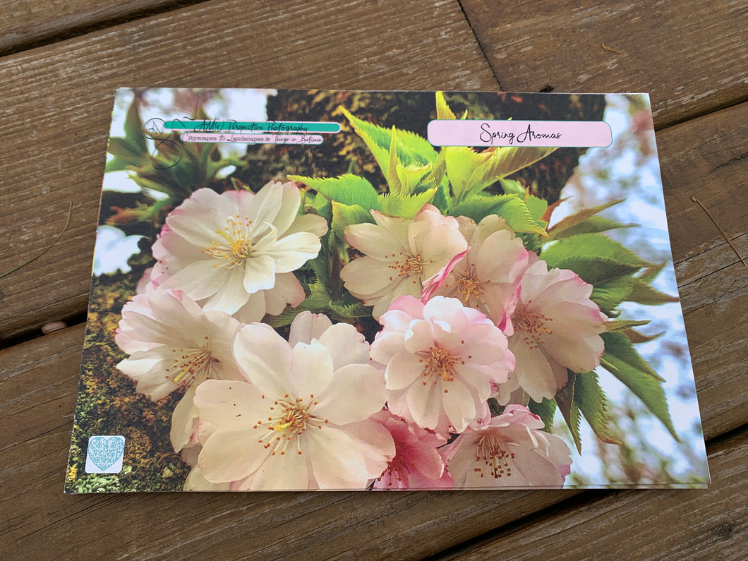 Greeting Card | Spring Aromas