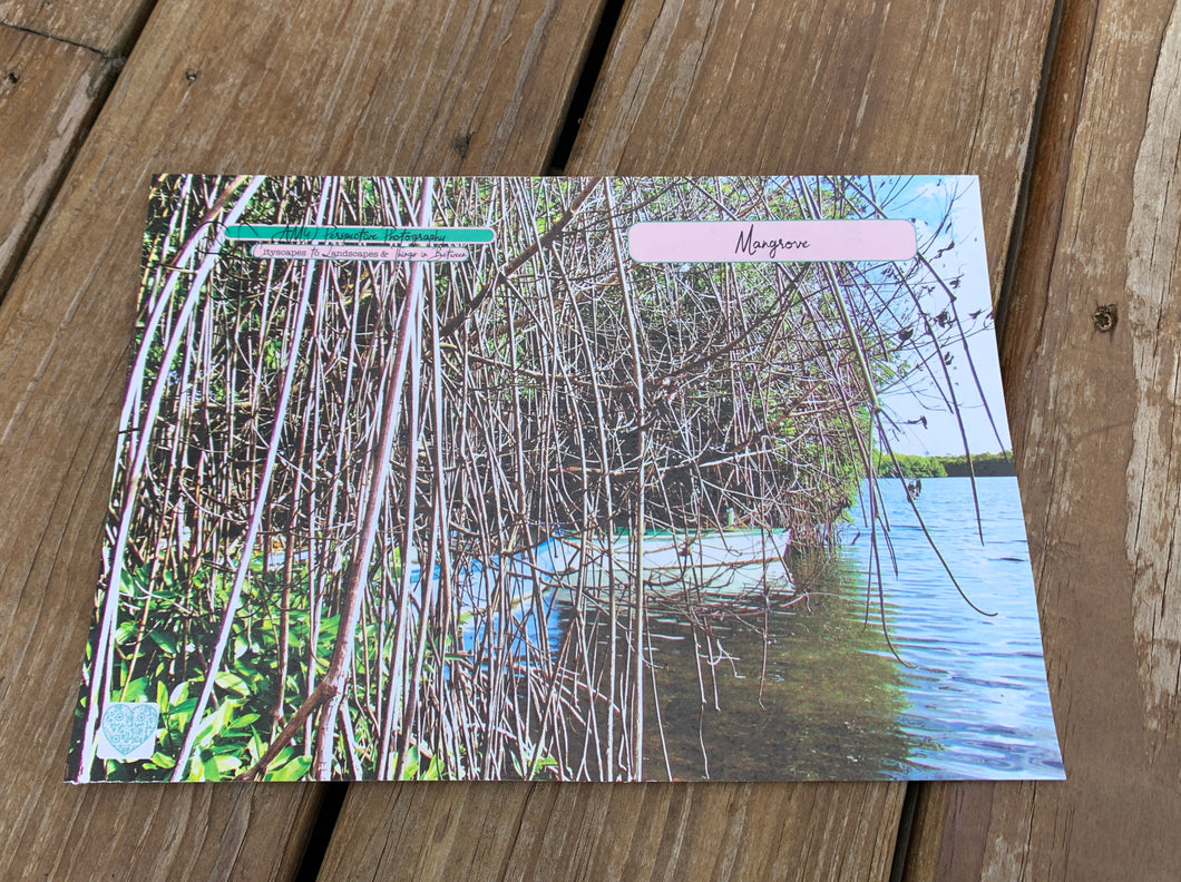 Greeting Card | Mangrove