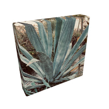 Load image into Gallery viewer, Belt | Agave Wave
