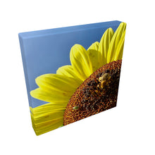 Load image into Gallery viewer, Tank | Sunflower Wave | Color-blocking Yellow
