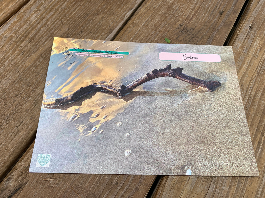 Greeting Card | Seahorse