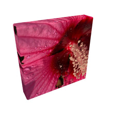Load image into Gallery viewer, Magnet | Hibiscus Love Wave
